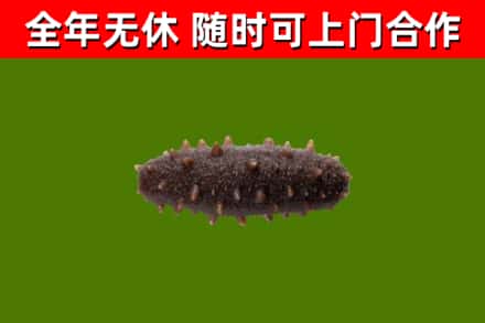 宜良县烟酒回收干海参.jpg